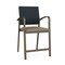 Lesro Newport Hip Chair Metal Frame, Bronze, RS Night Sky Back, MD Farro Seat NP1161 - alternate 1